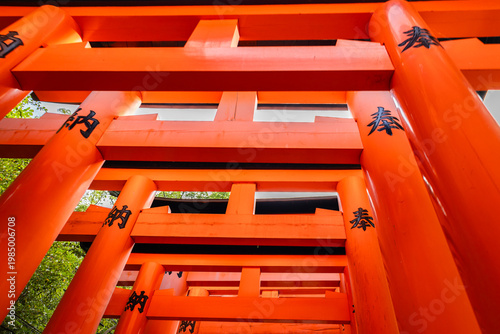 Fushimi Inari Taisha Torii Path Kyoto, Japan 