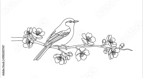 Small bird on blooming cherry branch, elegant black line art style, monochromatic ink contour, on transparent background, spring season and nature decor