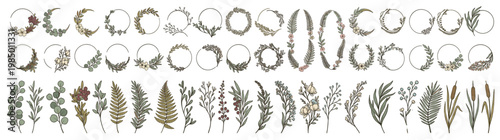 Watercolor Floral Graphic Collection Isolated on White: Wildflower Wreaths Ferns and Leaves