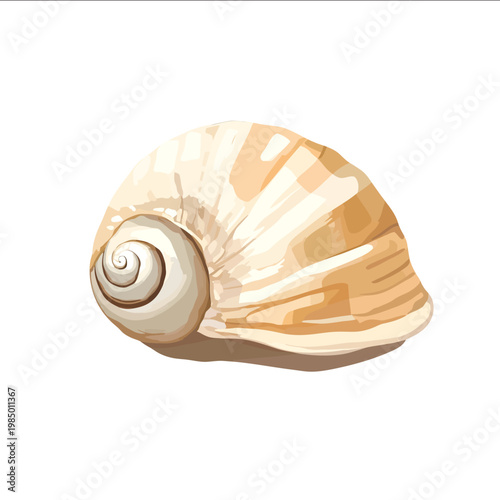simple vector mollusk clipart illustration white background vector art style simple design flat illustration no shadows