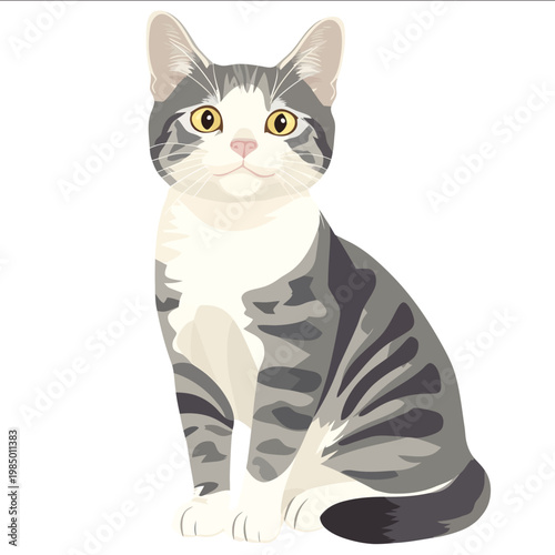 simple vector American Shorthair clipart illustration white background vector art style simple design flat illustration no shadows