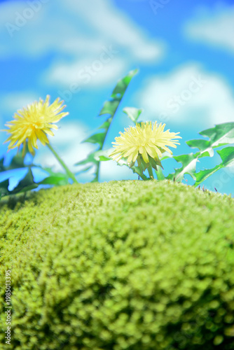 コケにタンポポの花