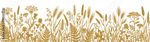 Vintage Botanical Sketch Isolated on White: Wild Meadow Grasses Ferns and Wildflower Border