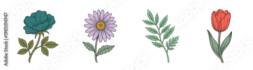 Vintage Engraving Style Vector Botanicals: Colorful Flowers and Leaves Isolated on White