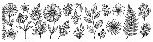 Black Line Art Botanical Vector Set: Wildflowers Leaves and Ferns Bundle Isolated on White
