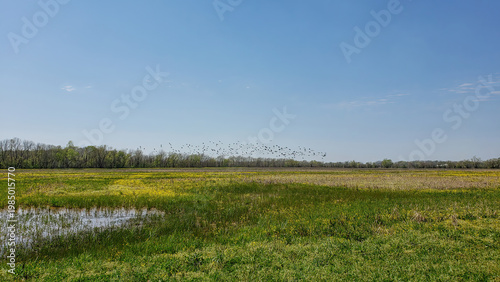 Elbow Slough Wildlife Management Area in Louisiana