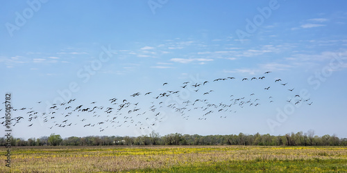 Elbow Slough Wildlife Management Area in Louisiana