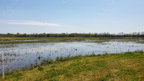 Elbow Slough Wildlife Management Area in Louisiana