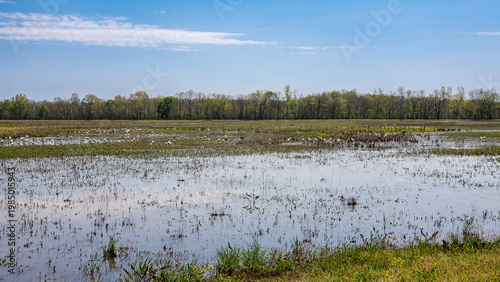 Elbow Slough Wildlife Management Area in Louisiana