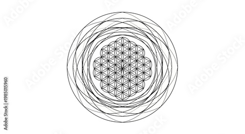 Intricate circular pattern with concentric lines.
