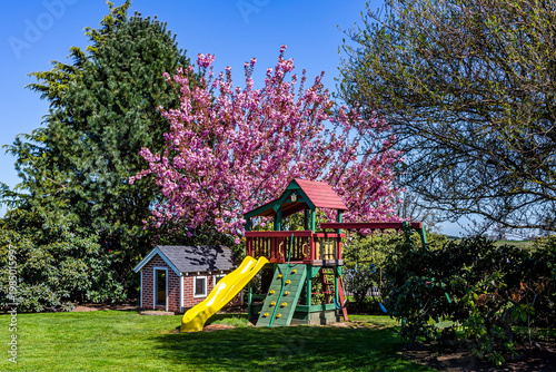 Children playground in springtime