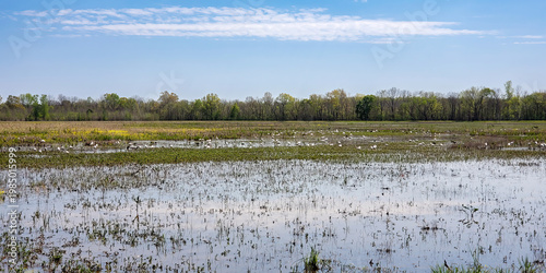 Elbow Slough Wildlife Management Area in Louisiana