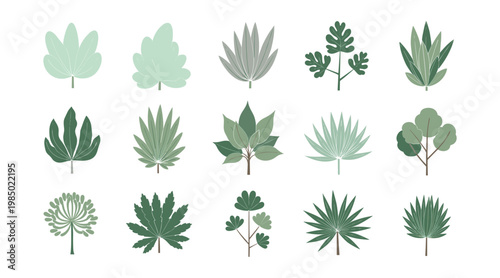 Assorted botanical illustrations a collection of diverse plant and leaf designs