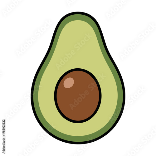 vector illustration of avocado fruit
