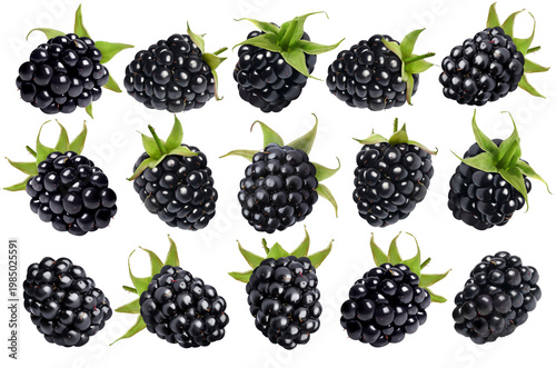 Fresh ripe blackberries isolated on white, set
