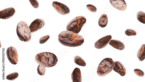 Many cocoa beans falling against white background