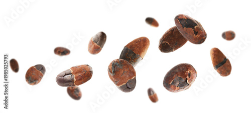 Many cocoa beans flying in air against white background