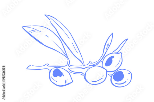 Whimsical olive branch sketch in blue. Cute hand drawn olive doodle as minimalist art and icon. Linear leaves and fruit form simple frame background for cafe menu, mediterranean restaurant card or