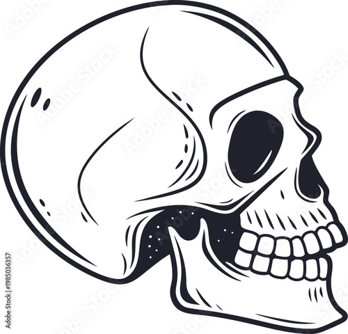 Detailed human skull profile vintage illustration creepy dark art design.
