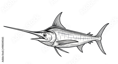 Swordfish Illustration: Majestic Marine Predator with Long Bill