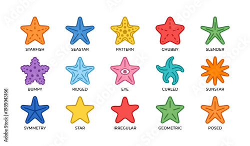 Colorful starfish variations with unique patterns and shapes on white background