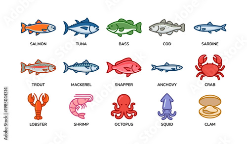 Illustrated sea creatures including fish, lobster, shrimp, octopus, squid, and clam