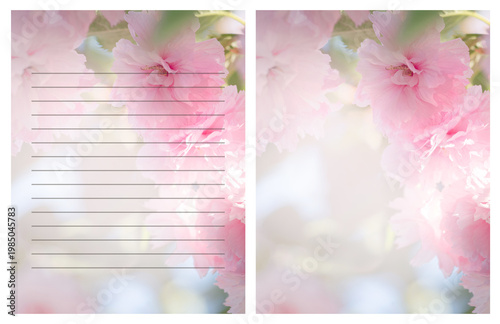 Letter template, card with pink sakura tree bloom, background with lines and copy space for hand writing, printable To Do List, lined journal or planner, diary or note paper with blank empty place.