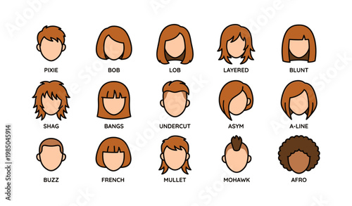 Diverse haircut styles for various hair types and personalities