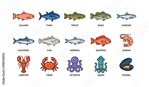 Colorful illustrations of various sea creatures including fish, crustaceans, and mollusks