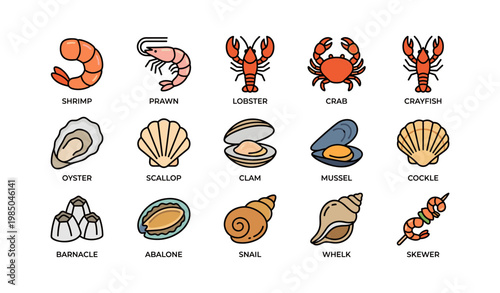 Colorful illustration of various shellfish and seafood icons in grid layout