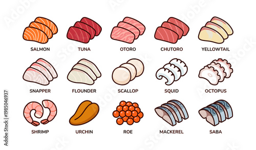 Assorted sushi pieces: salmon, tuna, otoro, yellowtail, shrimp, and more