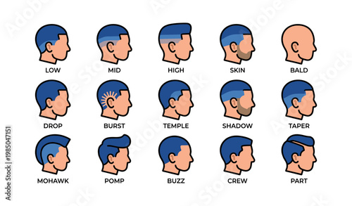 Men's haircut styles: low, mid, high, skin, bald, drop, burst, temple, shadow, taper