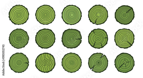 Tree Rings Pattern: Growth Cycles, Nature, Wood Texture, Organic Circles, White Background