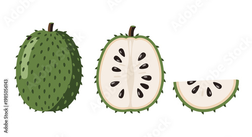Soursop fruit illustration, showing a whole fruit, a halved fruit, and a slice with seeds