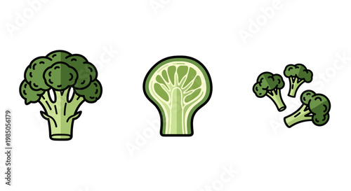 Fresh broccoli florets and a cross-section of broccoli, illustrating healthy, organic vegetables for nutritious meals and plant-based diets