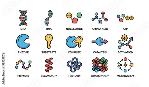 Illustrated icons of dna, rna, and metabolic processes
