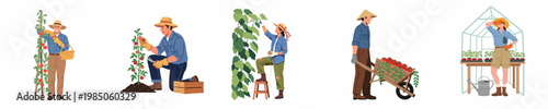 Set of diverse farmers and gardeners harvesting tomatoes, pruning plants, and working in a greenhouse in a flat vector illustration style.