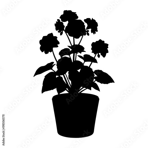 Silhouette of a potted flowering plant.
