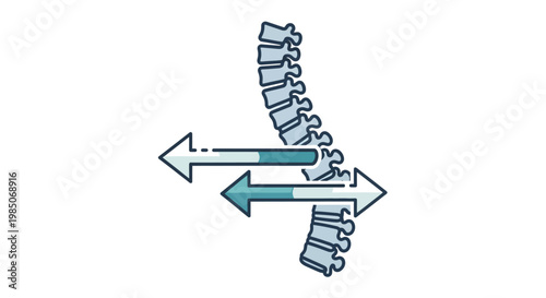 Conceptual graphic depicting spine alignment with dual-headed arrows indicating range of motion and corrective adjustment, a medical and physical therapy concept.
