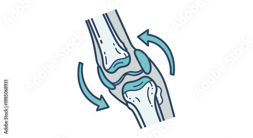 Detailed anatomical cross-section of a human knee joint demonstrating articulation and movement with blue arrows indicating flexing and extending motion, clean medical graphic.