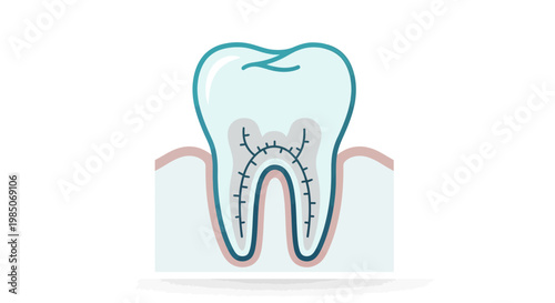 Detailed cross-section of a healthy human molar tooth, highlighting intricately branched root canals and pulp, rendered in a clean, modern, minimalist vector art style.