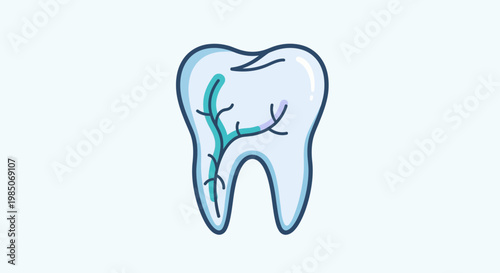 Stylized, simplified vector graphic of a human molar tooth revealing intricate teal-colored nerve and blood vessel pathways inside its translucent enamel and dentin structure.