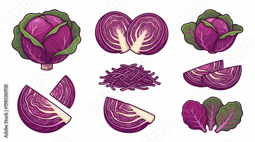 Red cabbage cartoon illustration set with whole halved sliced and shredded pieces