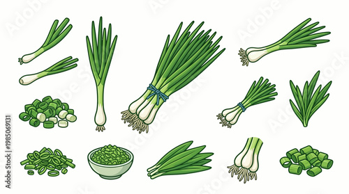 Shallot greens cartoon illustration set with whole stalks chopped pieces and bulbs