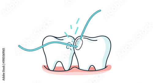 Vector graphic depicting the meticulous process of dental flossing between two white teeth, showing interdental cleaning with a light blue thread, clean and simple style.