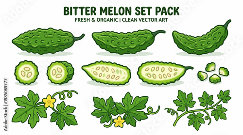 Bitter melon cartoon illustration set with whole slices and vine leaves
