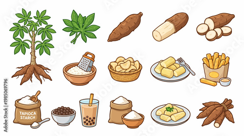 Cassava cartoon illustration set with plant whole roots boba tea and starch