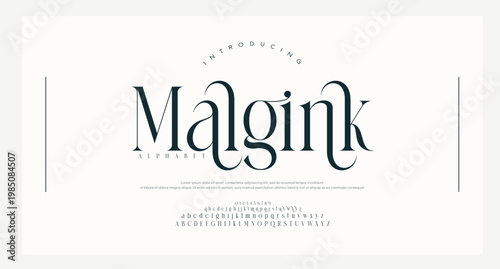 Malgink Elegant awesome alphabet letters font and number. Classic Lettering Minimal Fashion Designs. Typography fonts regular uppercase and lowercase. vector illustration