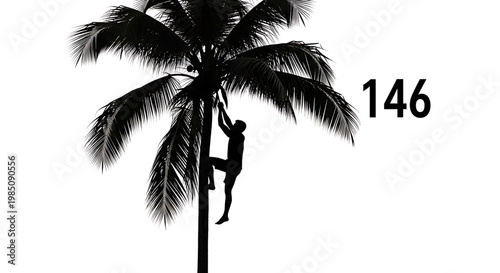 A silhouette of a man climbing a palm tree with the number 146 in the background