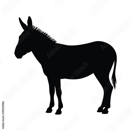 Silhouette of a donkey standing in profile against a white background